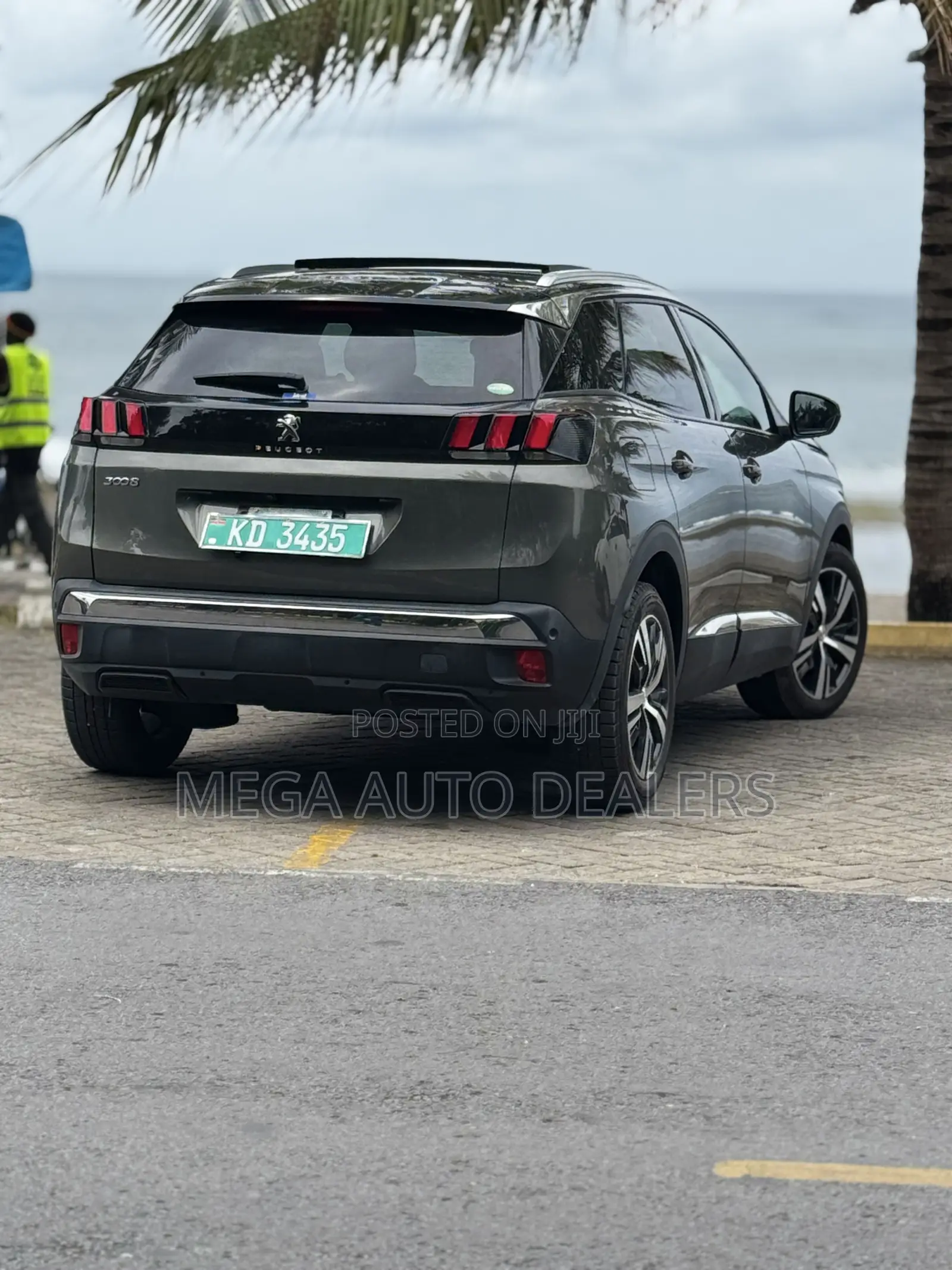 Peugeot 3008 2019 Green