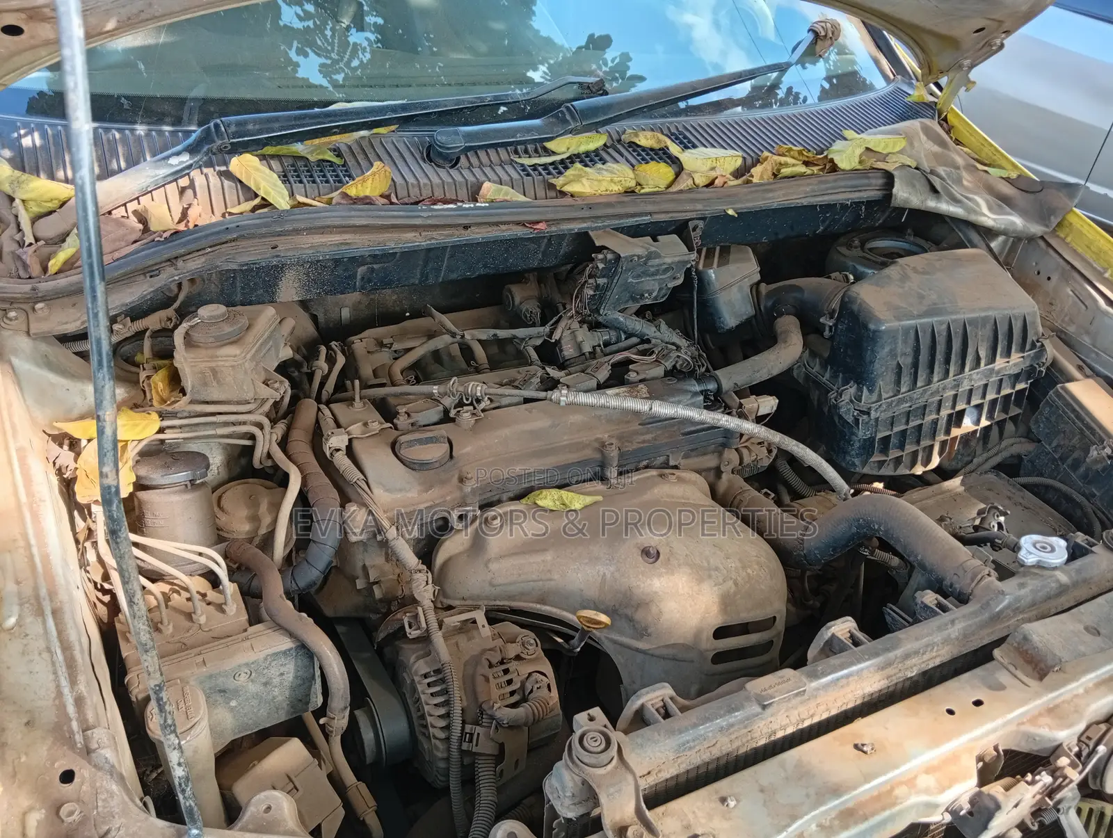 Toyota Gaia 2003 Yellow