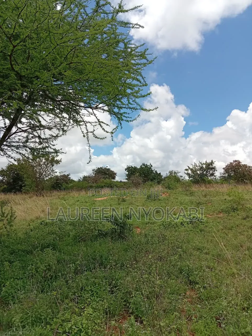 Ready-to-build 50×100 Plot In Matuu