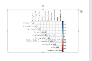 Statistical Analysis Tutorial