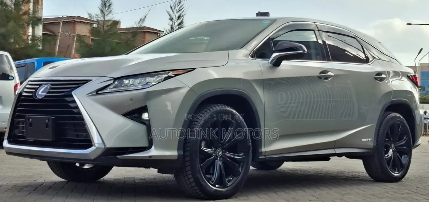 Lexus RX 2019 Gray