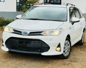 Toyota Corolla Fielder 2019 White