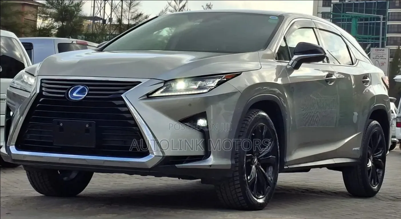 Lexus RX 2019 Gray