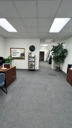 Wall to Wall Carpet Grey Delta Carpet
