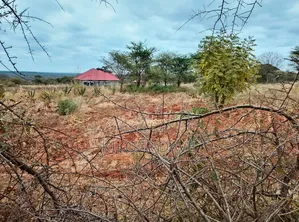 12acrea Land for Sale