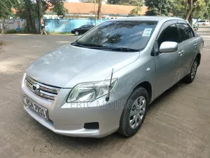 Toyota Axio 2010 Silver