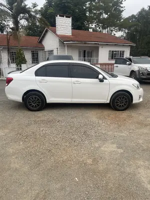 Toyota Axio 2013 White
