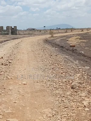 Affordable 40*80plots in Ruiru Kamakis