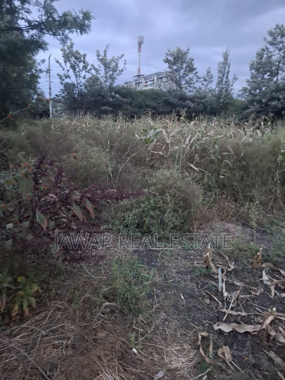 Plot for Sale in Ruai 26