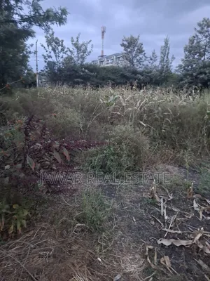 Plot for Sale in Ruai 26