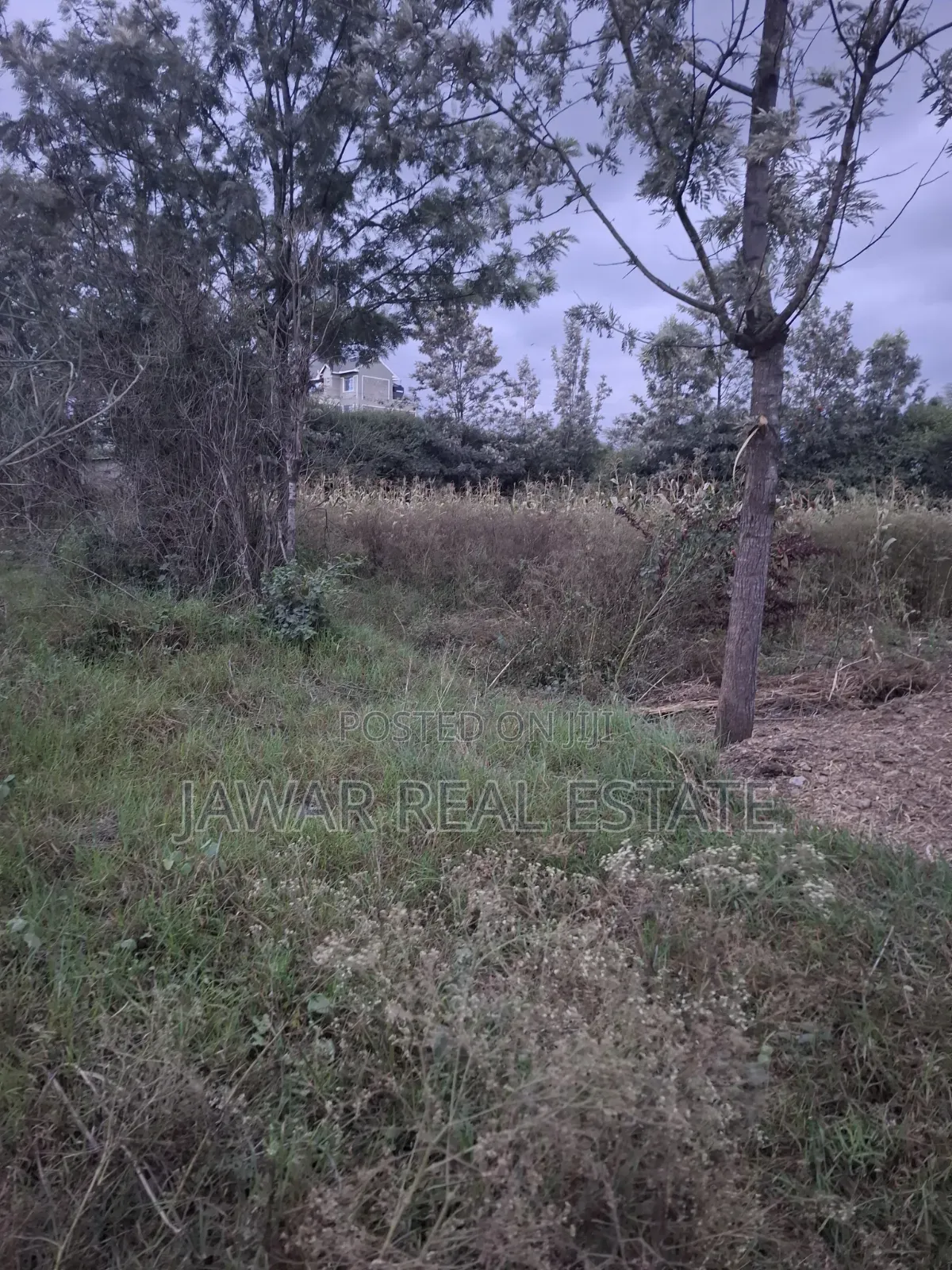 Plot for Sale in Ruai 26