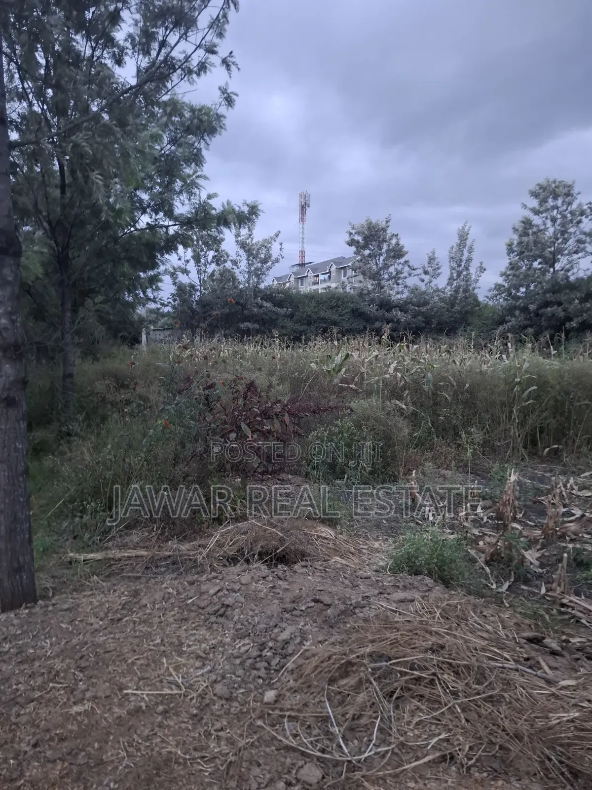 Plot for Sale in Ruai 26