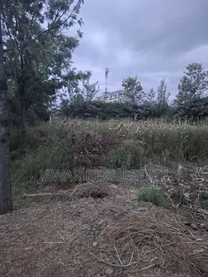 Plot for Sale in Ruai 26