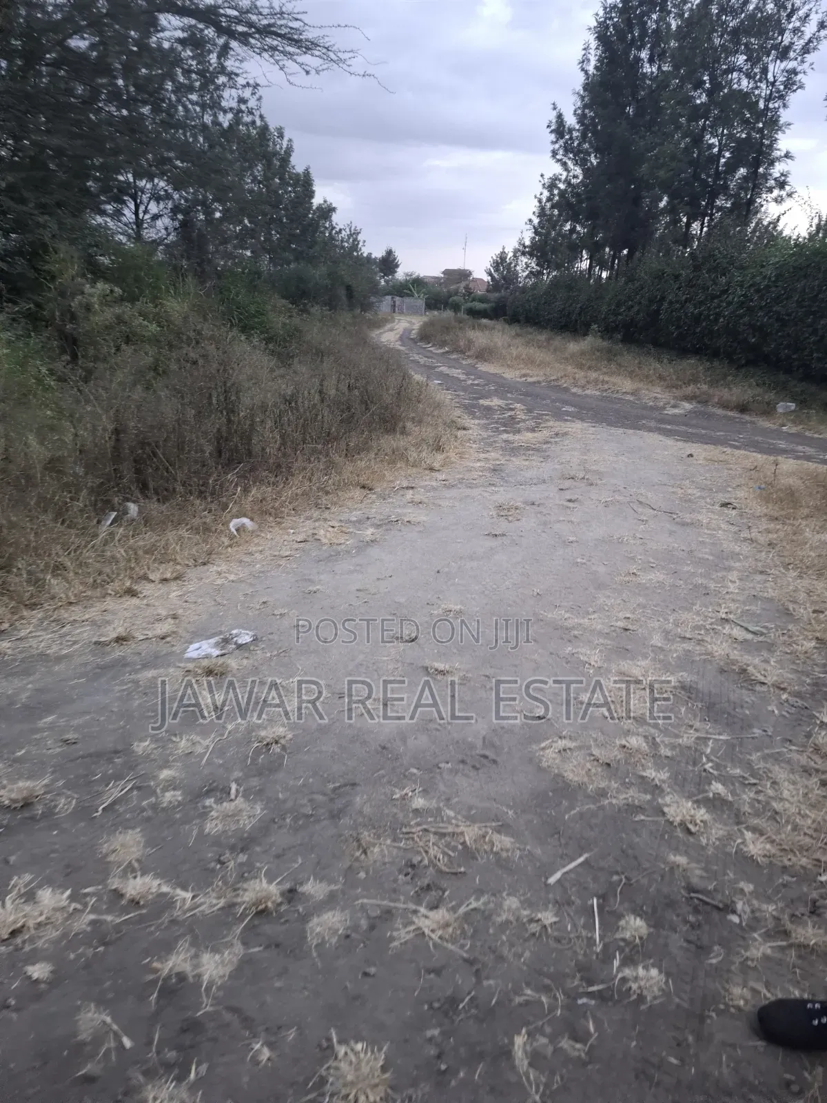 Plot for Sale in Ruai 26