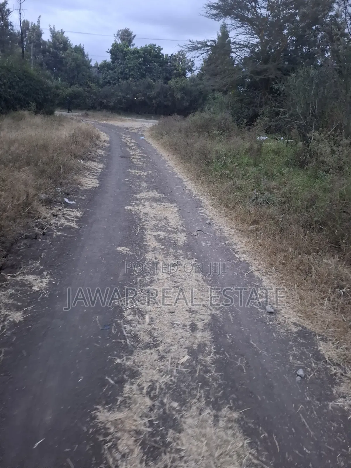 Plot for Sale in Ruai 26