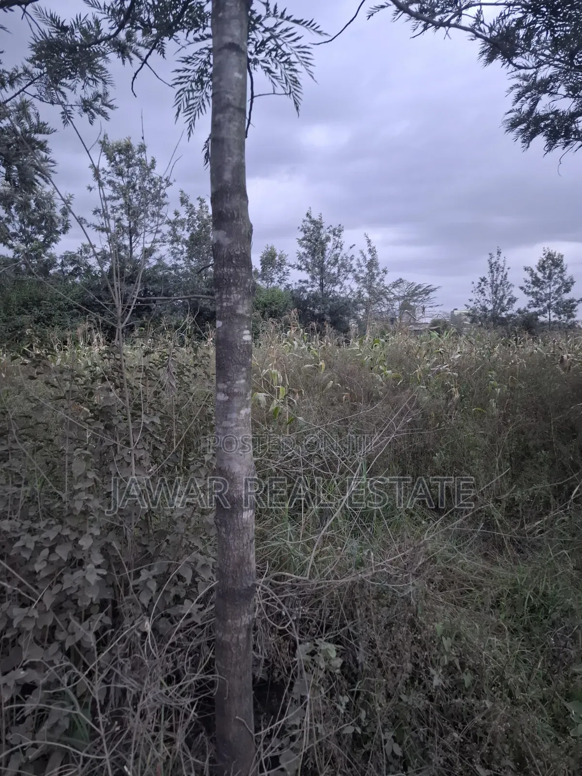 Plot for Sale in Ruai 26