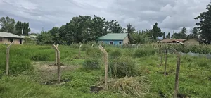 Plot for Sale at Majaoni Utange