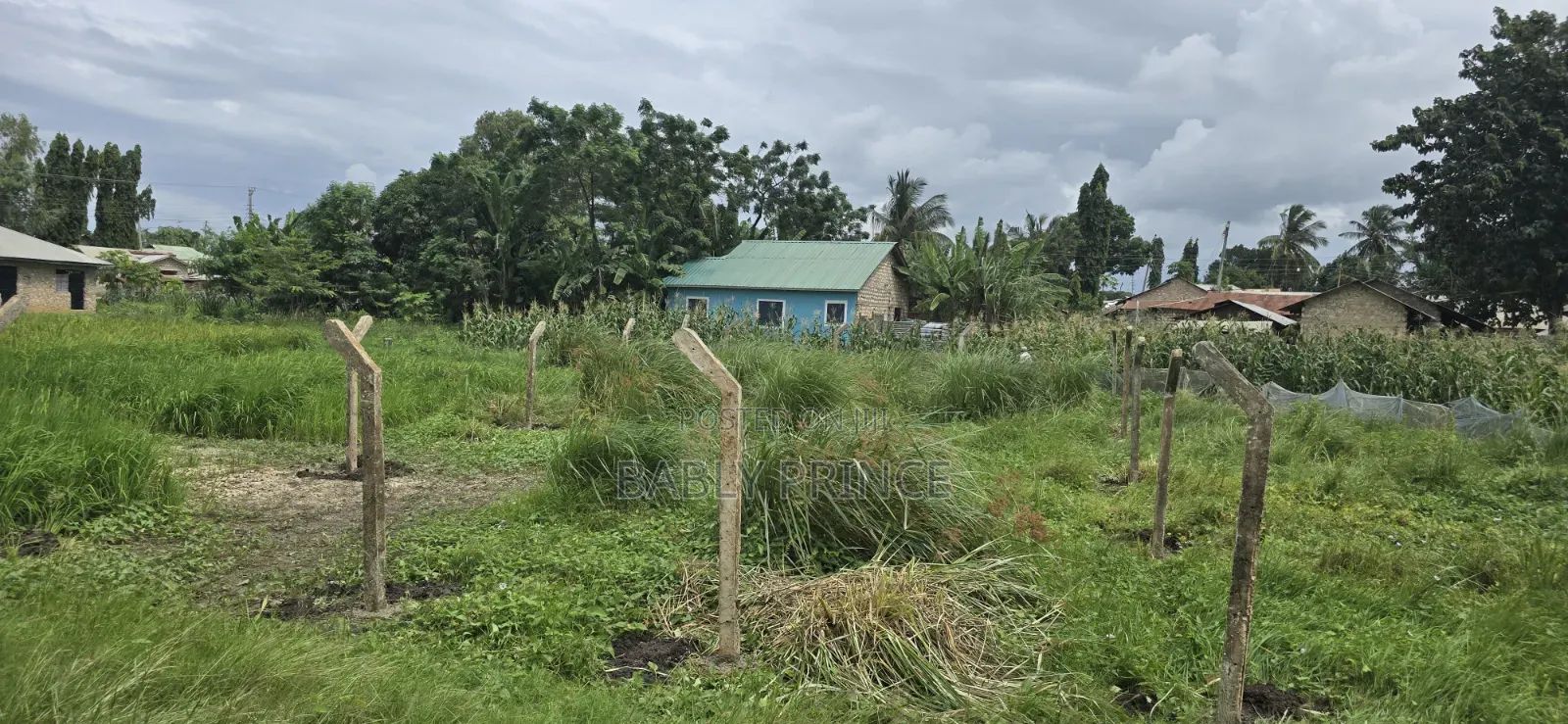 Plot for Sale at Majaoni Utange