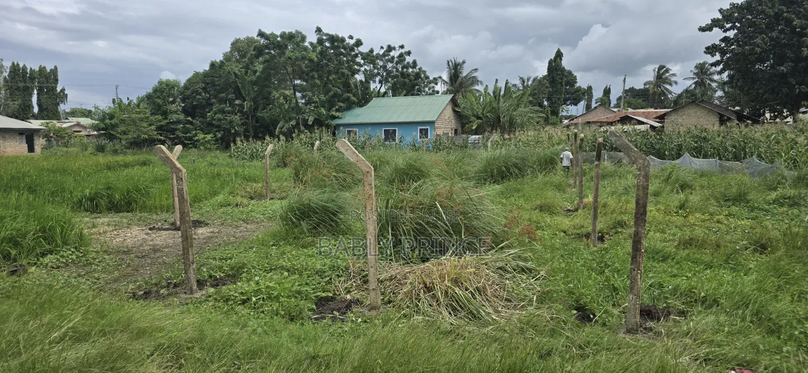 Plot for Sale at Majaoni Utange