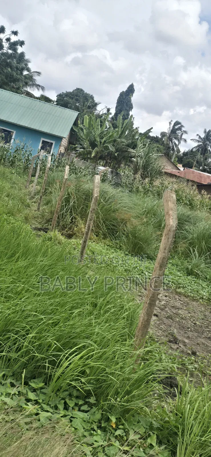 Plot for Sale at Majaoni Utange