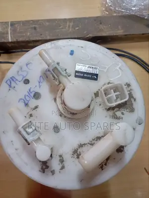 Fuel Pump Passo