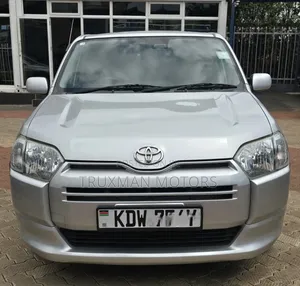 Toyota Probox 2018 Silver