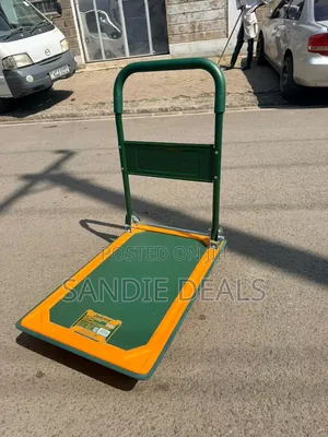Warehouse Platform Trolly