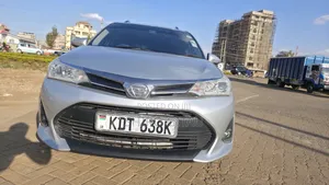 Toyota Corolla Fielder 2019 Silver