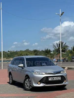 Toyota Corolla Fielder 2017 Silver