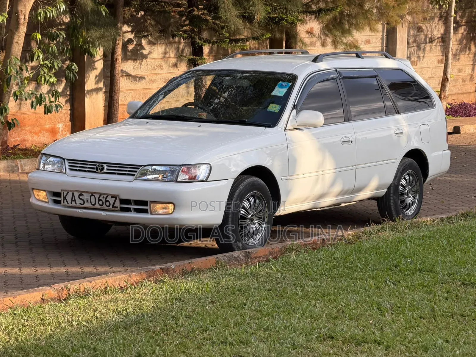 Toyota Corolla 1998 White