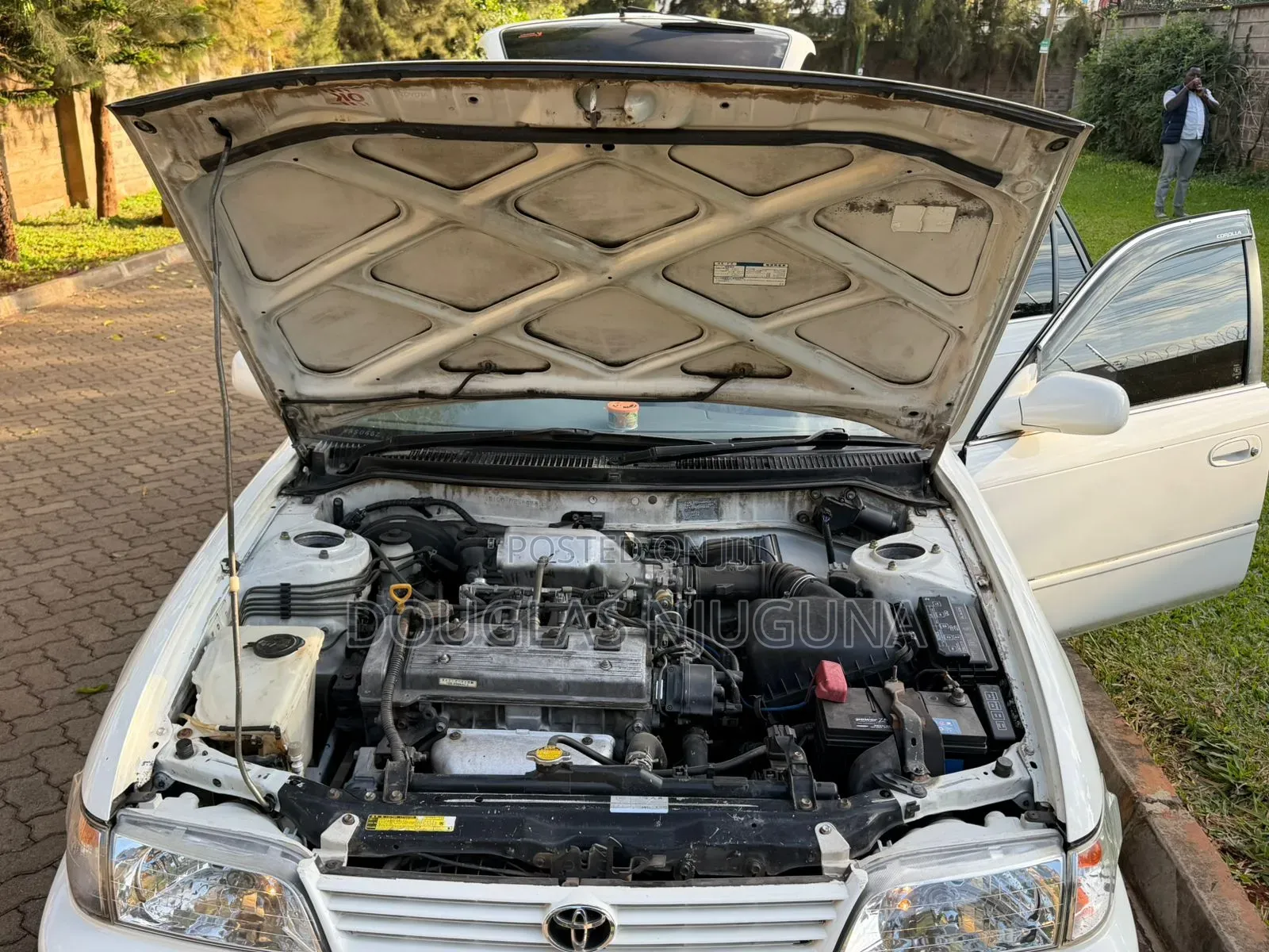 Toyota Corolla 1998 White