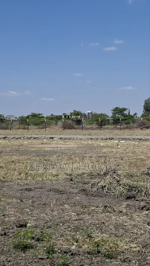 Jujafarm Town Jr