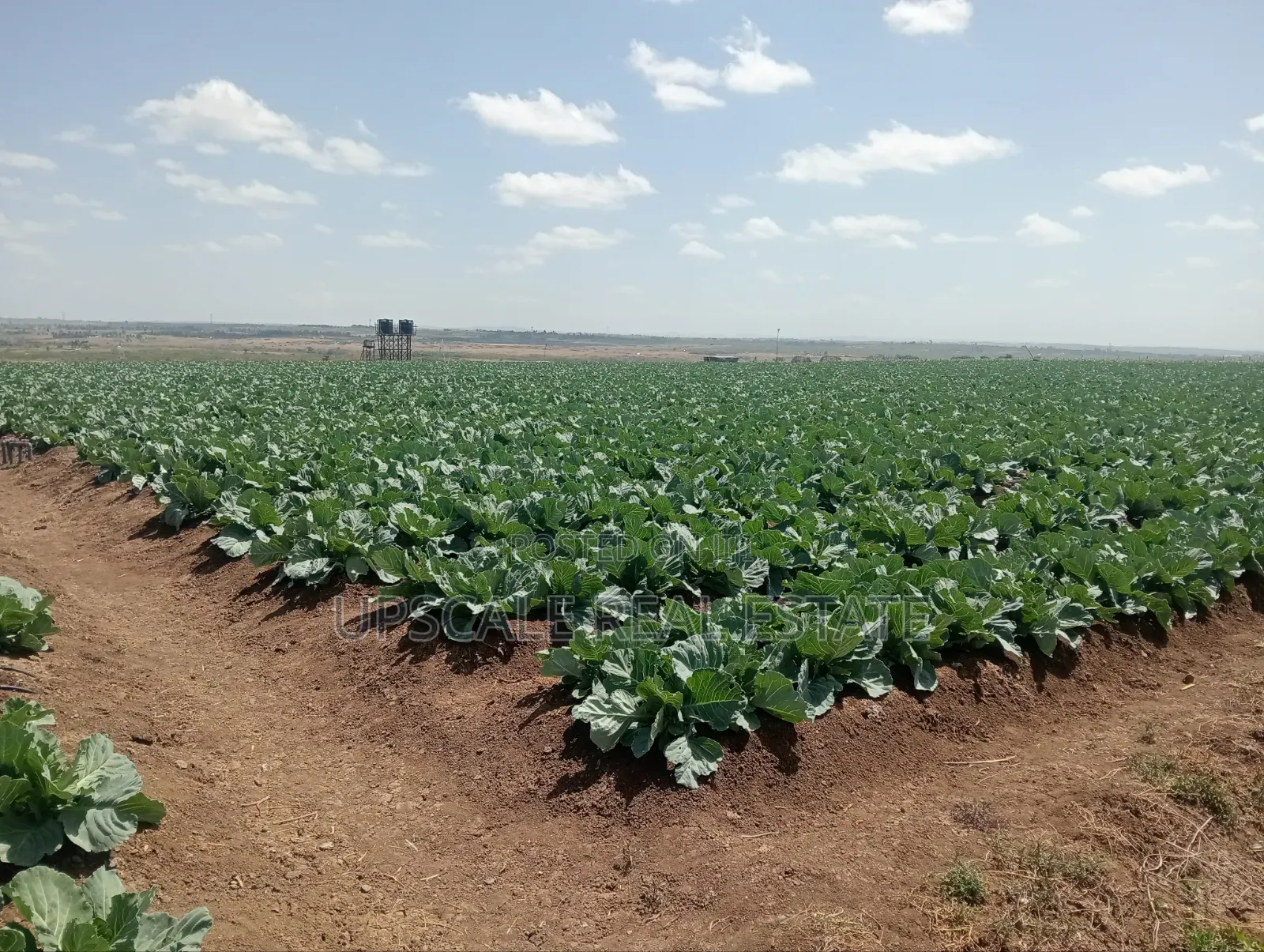 Get Land That Earns You Money