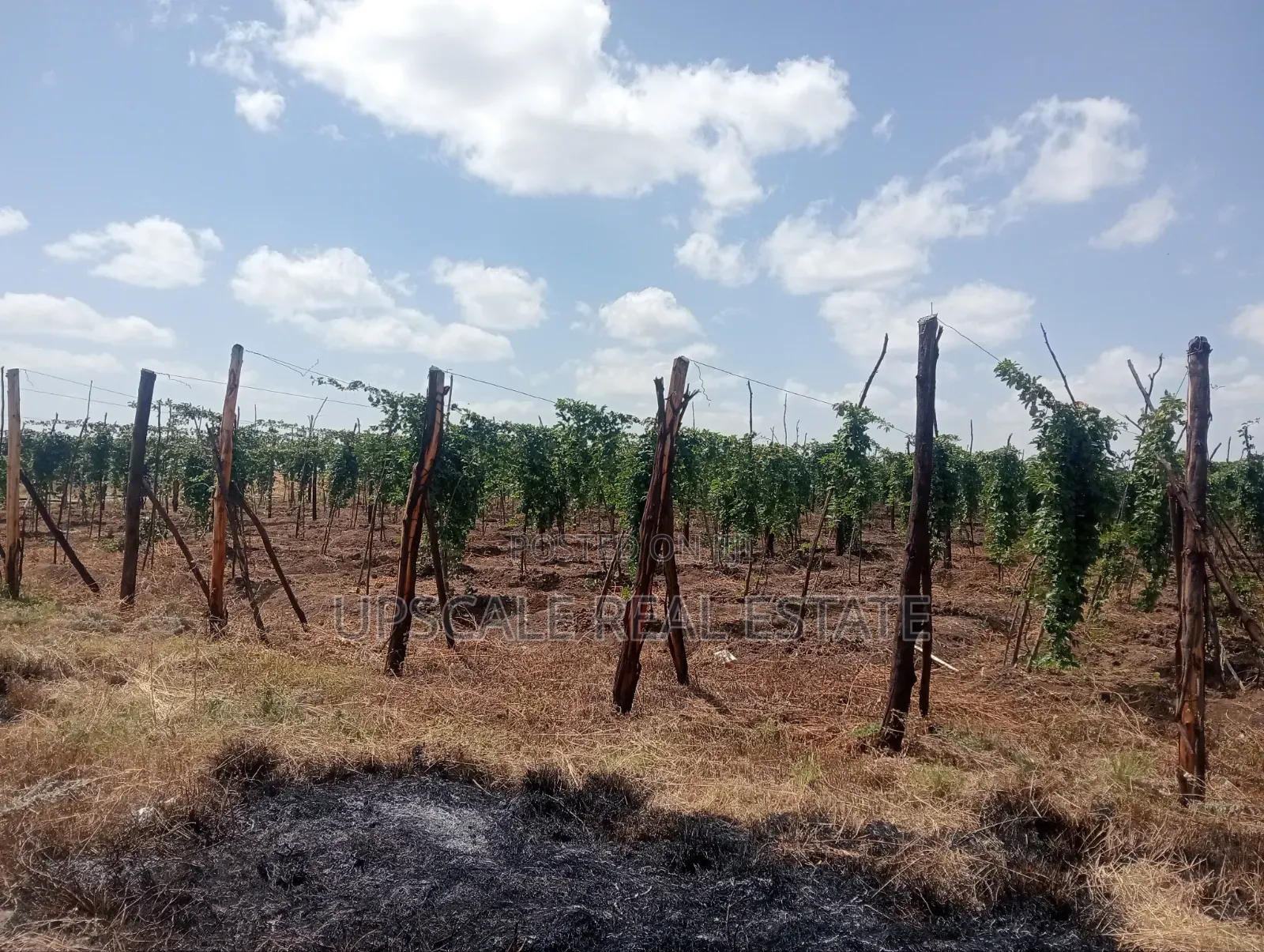 Get Land That Earns You Money