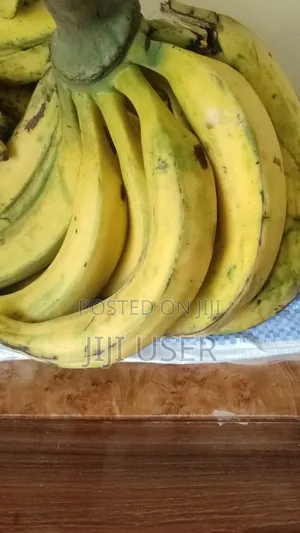 Green and Ripe Planteins