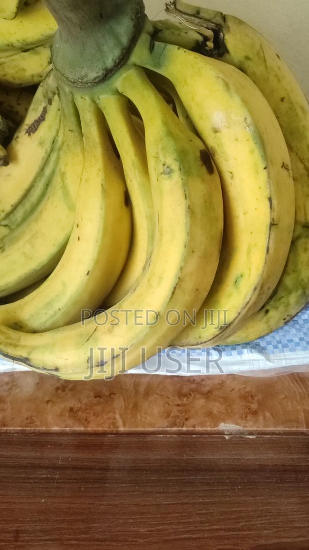 Green and Ripe Planteins