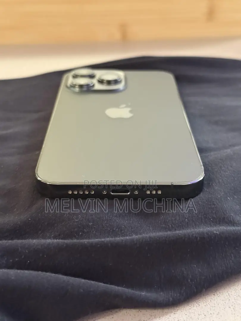 Apple iPhone 13 Pro 256 GB Gray