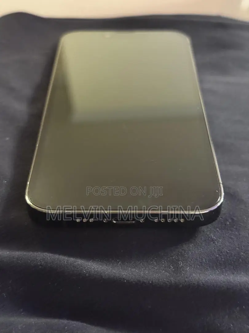 Apple iPhone 13 Pro 256 GB Gray