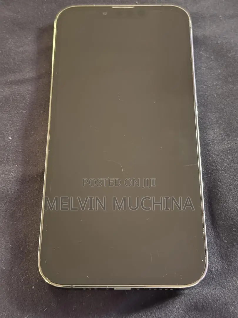 Apple iPhone 13 Pro 256 GB Gray