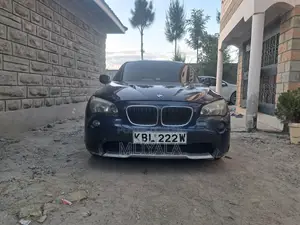 BMW X1 2010 Blue