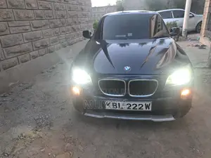 BMW X1 2010 Blue