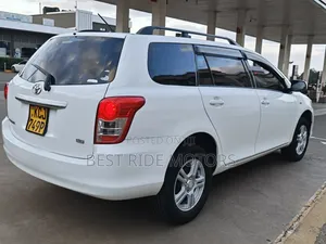 Toyota Corolla Fielder 2010 White