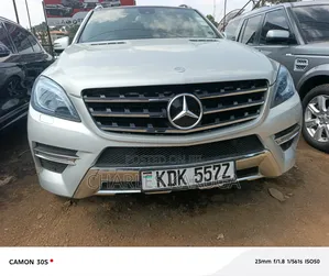 Mercedes-Benz M Class 2014 Silver
