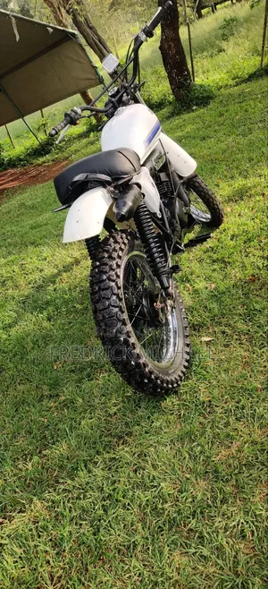 Suzuki 2010 White