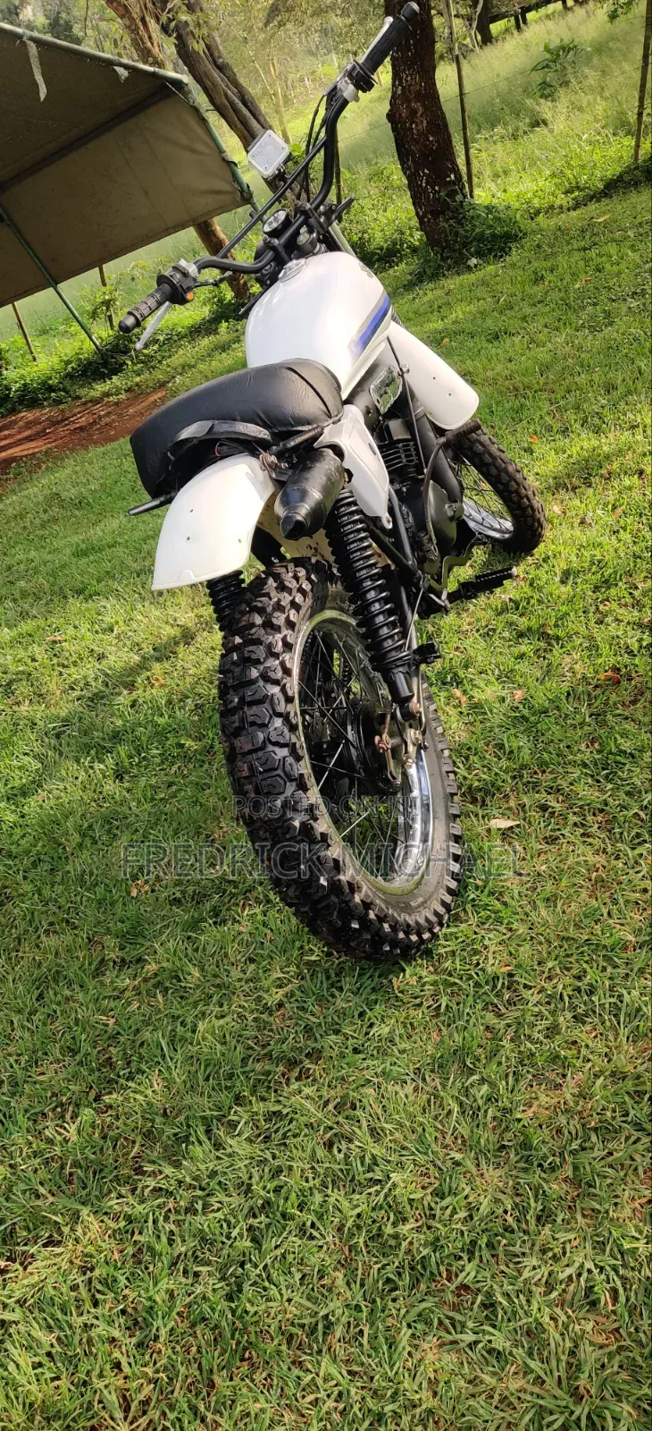 Suzuki 2010 White