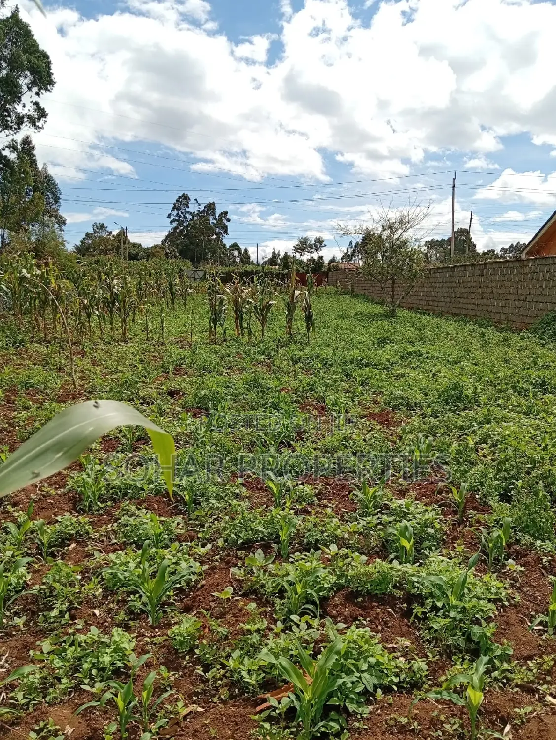Uplands, Limuru - Distress Sale; Prime 1⁄4 Acre Land on Sals