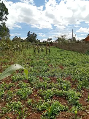 Uplands, Limuru - Distress Sale; Prime 1⁄4 Acre Land on Sals