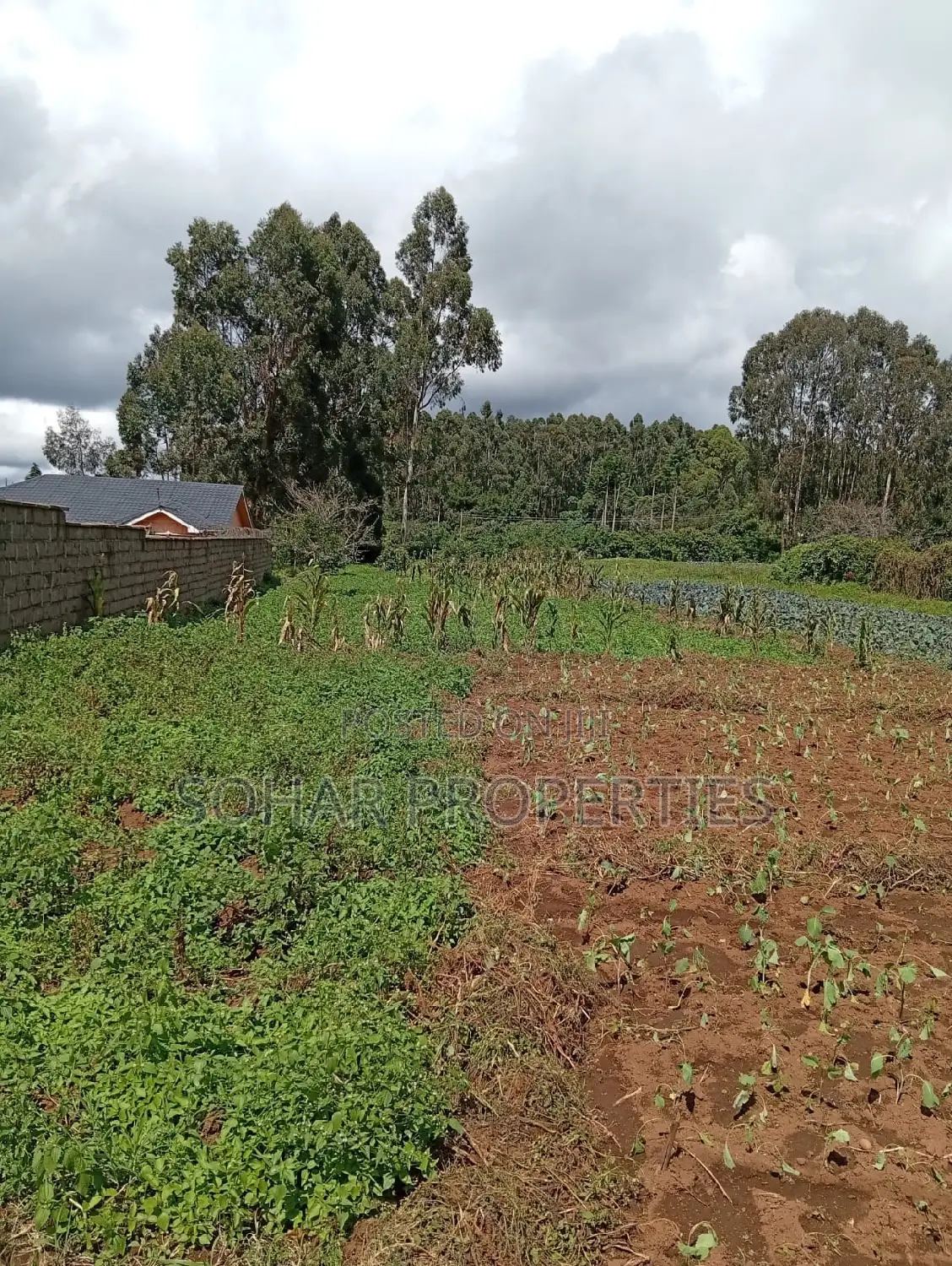 Uplands, Limuru - Distress Sale; Prime 1⁄4 Acre Land on Sals
