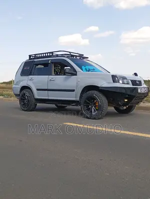Nissan X-Trail 2.0 2006 Gray