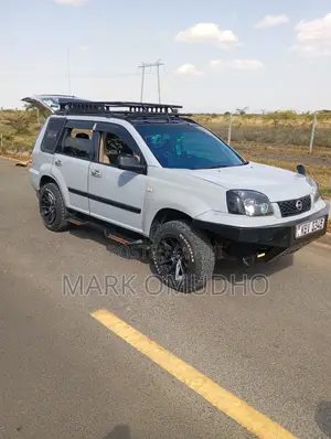 Nissan X-Trail 2.0 2006 Gray